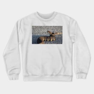 Cottonmouth Stare Crewneck Sweatshirt